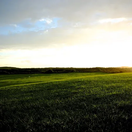 Meadows