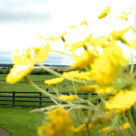 Meadows Bed & Breakfast