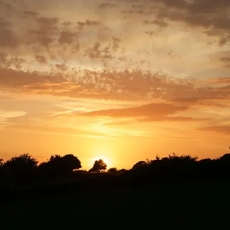 Meadows بونراتي