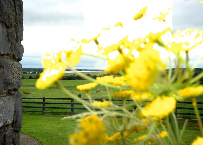 Meadows Couette-café