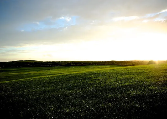 Meadows